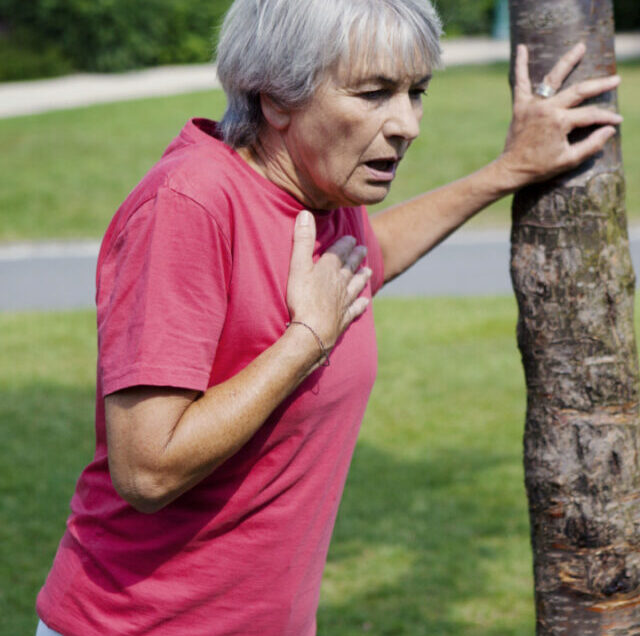 Shutterstock_181672583