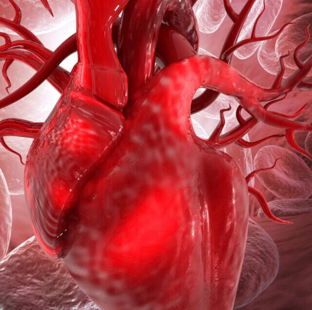 Shutterstock_2180838141