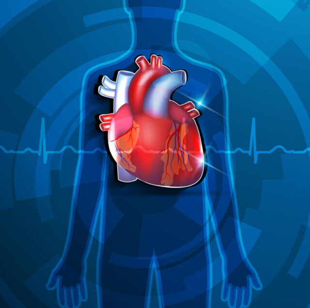 Shutterstock_199066085