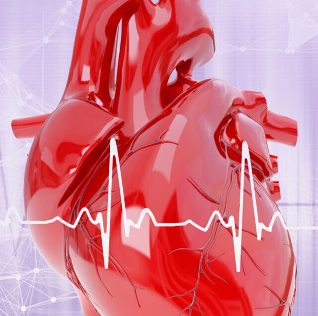 Shutterstock_390065899