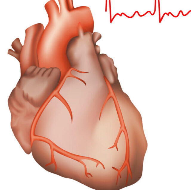 Shutterstock_1060514753