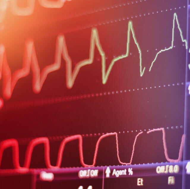 Shutterstock_1756684043