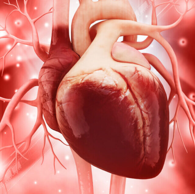 Shutterstock_233628412