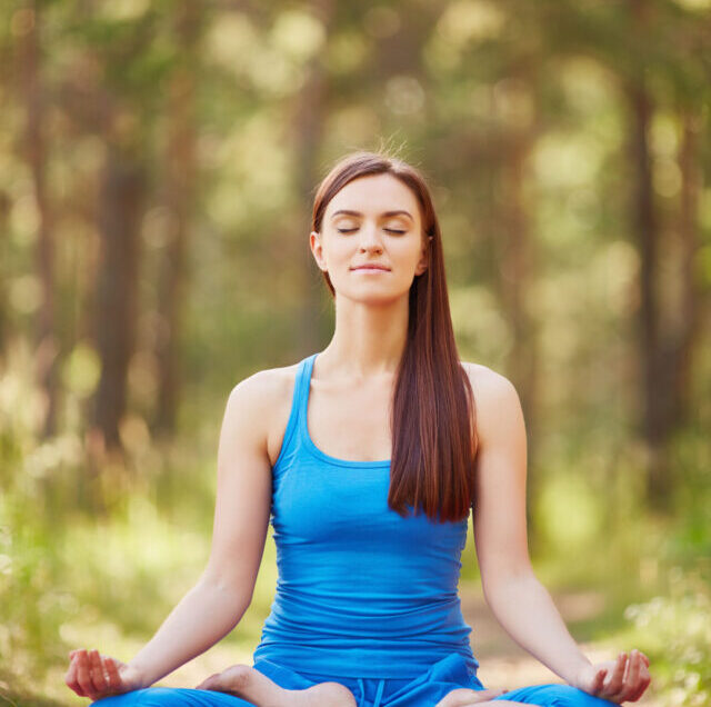 Shutterstock_346217801