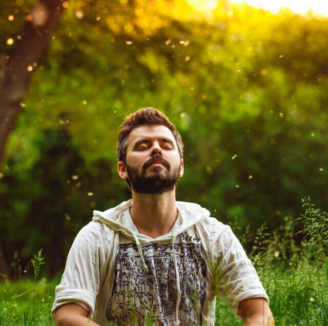 Shutterstock_350542424