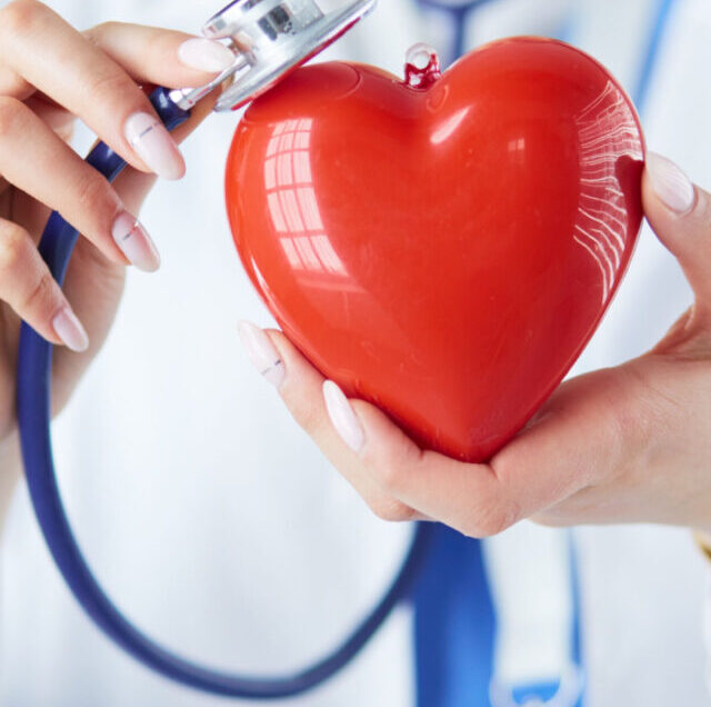 Shutterstock_1449859610