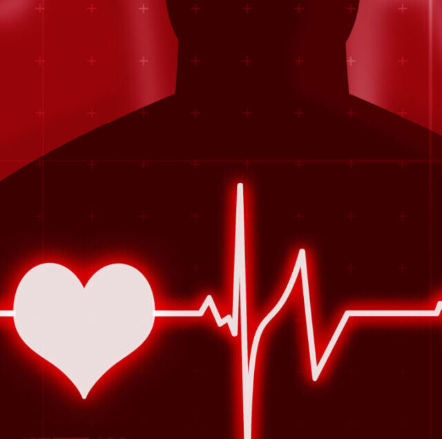 Shutterstock_1525263