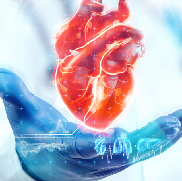 Shutterstock_2029860371