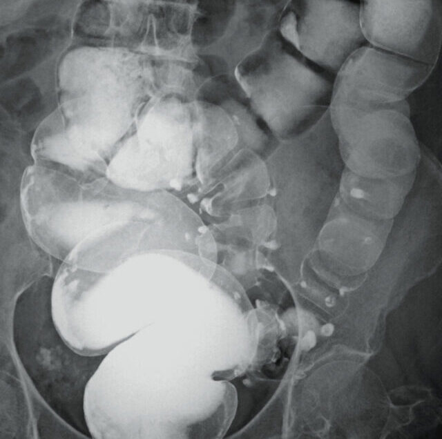 Shutterstock_2126322401