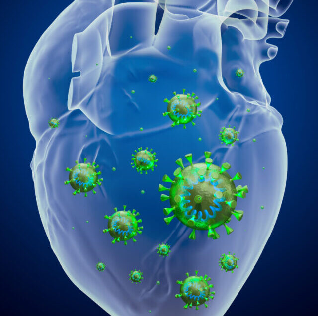 Shutterstock_1638621154