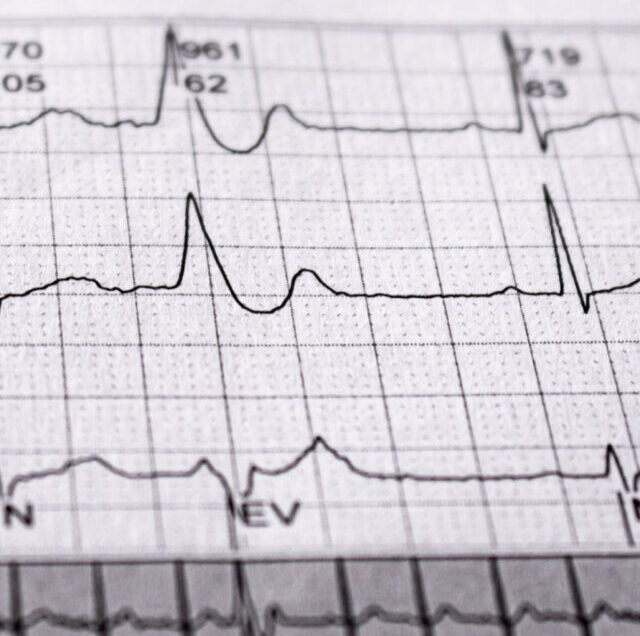 Shutterstock_1665633367