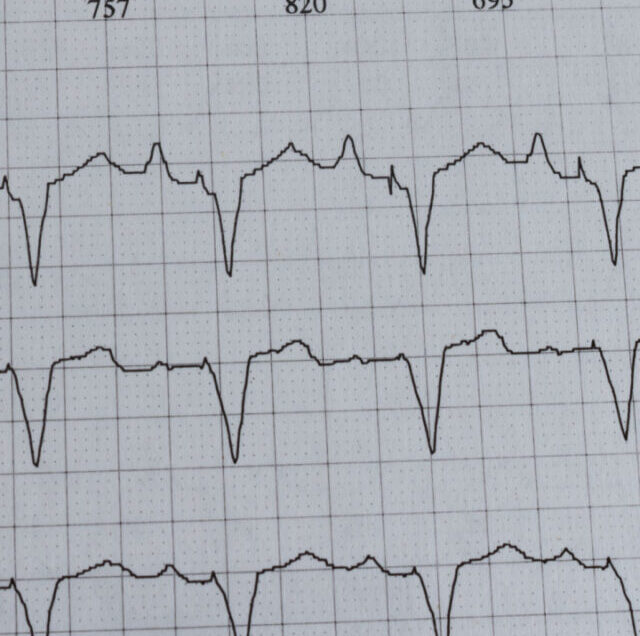 Shutterstock_1930226498