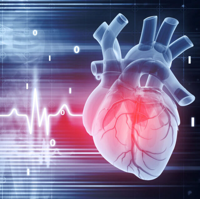 Shutterstock_2101819954