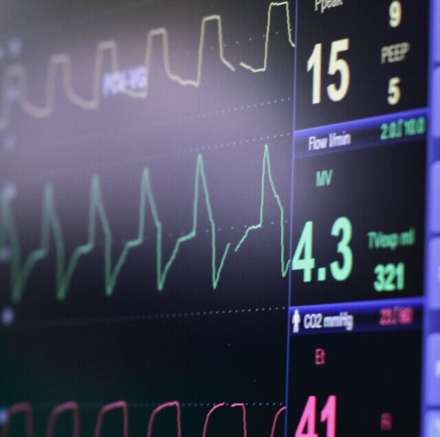 Shutterstock_1075877132