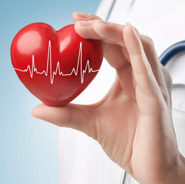 Shutterstock_504454465